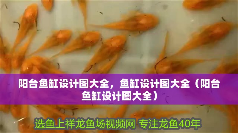 陽(yáng)臺(tái)魚缸設(shè)計(jì)圖大全，魚缸設(shè)計(jì)圖大全（陽(yáng)臺(tái)魚缸設(shè)計(jì)圖大全）