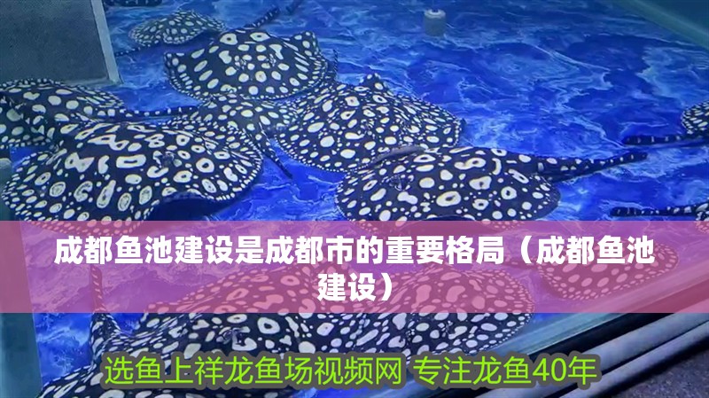 成都魚池建設是成都市的重要格局（成都魚池建設）