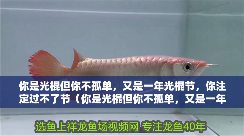 你是光棍但你不孤單，又是一年光棍節，你注定過不了節（你是光棍但你不孤單，又是一年光棍節）