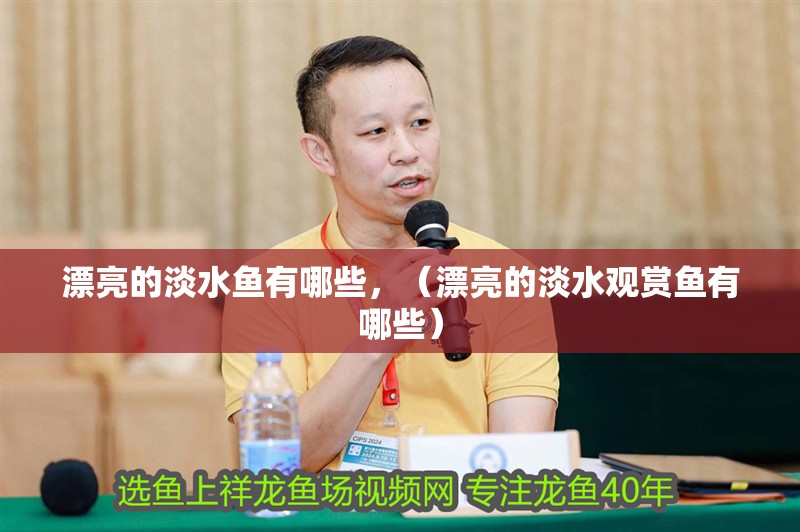 漂亮的淡水魚有哪些，（漂亮的淡水觀賞魚有哪些）