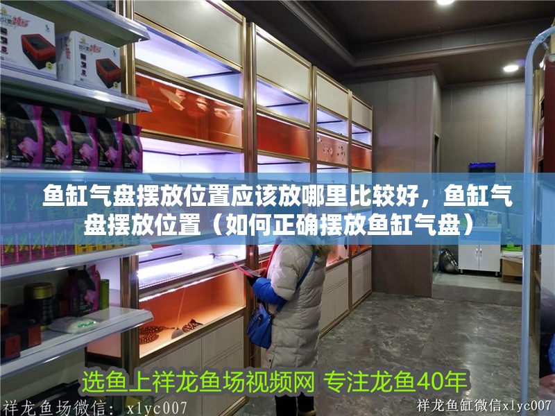 魚缸氣盤擺放位置應該放哪里比較好，魚缸氣盤擺放位置（如何正確擺放魚缸氣盤）