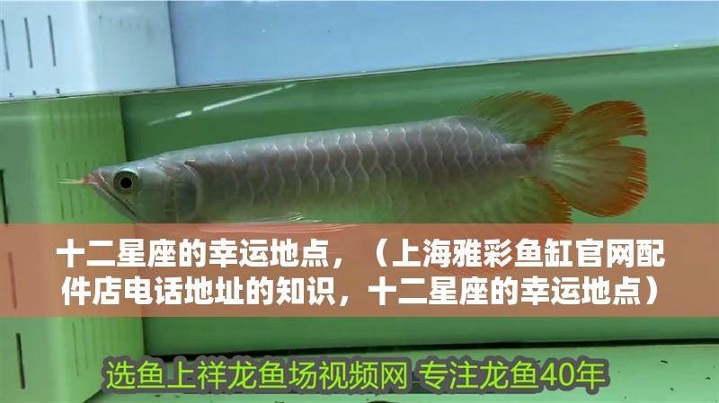 十二星座的幸運地點，（<strong><mark>上海</mark></strong>雅彩魚缸官網配件店電話地址的知識，十二星座的幸運地點）