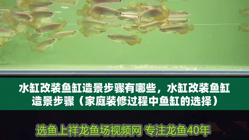 水缸改裝魚缸造景步驟有哪些，水缸改裝魚缸造景步驟（家庭裝修過程中魚缸的選擇）