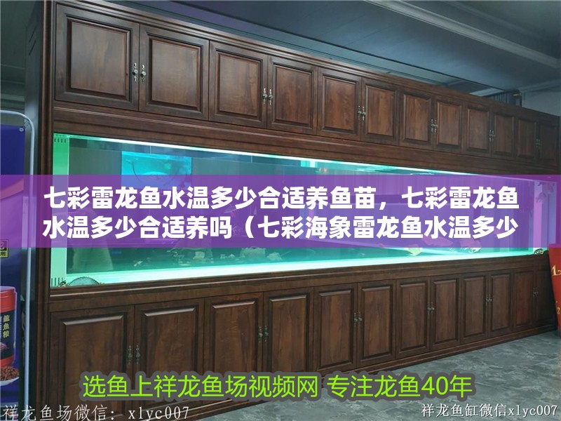 七彩雷龍魚水溫多少合適養魚苗，七彩雷龍魚水溫多少合適養嗎（七彩海象雷龍魚水溫多少合適養魚苗）