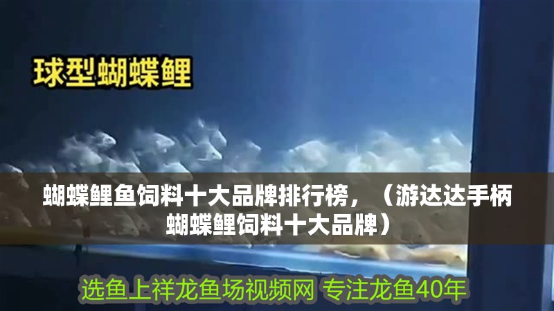 蝴蝶鯉魚飼料十大品牌排行榜，（游達達手柄蝴蝶鯉飼料十大品牌）