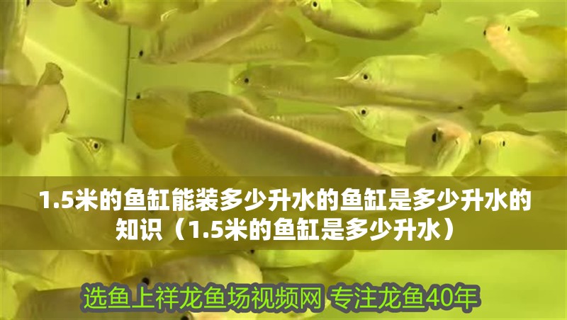 1.5米的魚缸能裝多少升水的魚缸是多少升水的知識（1.5米的魚缸是多少升水）