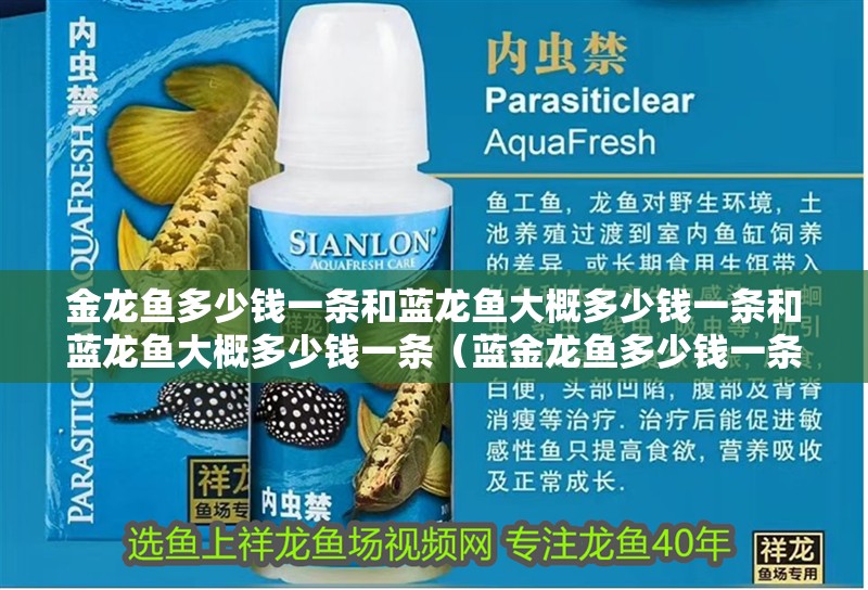 金龍魚(yú)多少錢(qián)一條和藍(lán)龍魚(yú)大概多少錢(qián)一條和藍(lán)龍魚(yú)大概多少錢(qián)一條（藍(lán)金龍魚(yú)多少錢(qián)一條和藍(lán)龍魚(yú)大概多少錢(qián)一條和藍(lán)龍魚(yú)大概多少錢(qián)一條）