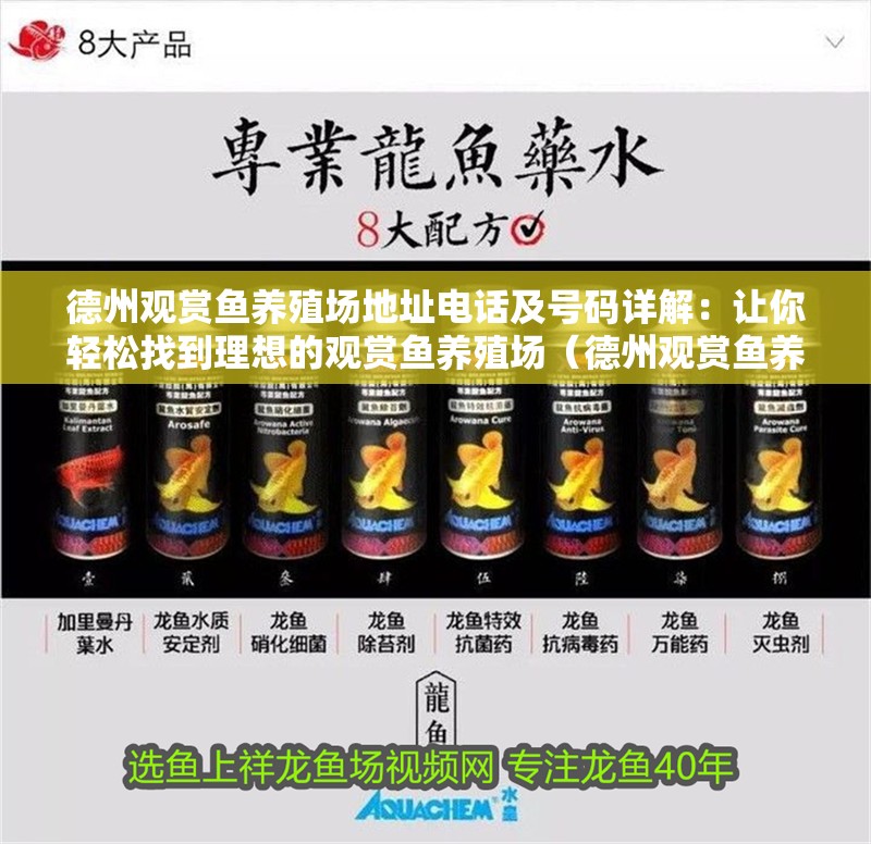 德州觀賞魚養(yǎng)殖場(chǎng)地址電話及號(hào)碼詳解:讓你輕松找到理想的觀賞魚養(yǎng)殖場(chǎng)(德州觀賞魚養(yǎng)殖場(chǎng)地址電話及號(hào)碼詳解) 觀賞魚百科 第2張 德州觀賞魚養(yǎng)殖場(chǎng)地址電話及號(hào)碼詳解:讓你輕松找到理想的觀賞魚養(yǎng)殖場(chǎng)(德州觀賞魚養(yǎng)殖場(chǎng)地址電話及號(hào)碼詳解) 德州觀賞魚養(yǎng)殖場(chǎng)地址電話及號(hào)碼詳解:讓你輕松找到理想的觀賞魚養(yǎng)殖場(chǎng)(德州觀賞魚養(yǎng)殖場(chǎng)地址電話及號(hào)碼詳解) 觀賞魚百科 第2張