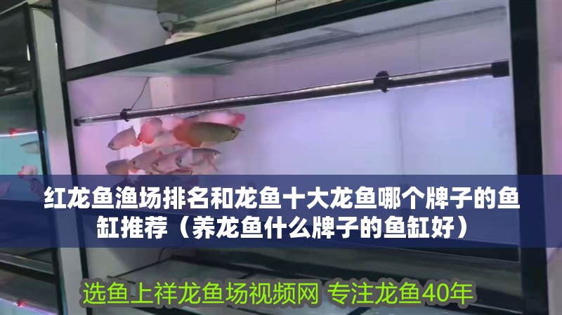 紅龍魚漁場排名和龍魚十大龍魚哪個牌子的魚缸推薦（養(yǎng)龍魚什么牌子的魚缸好）