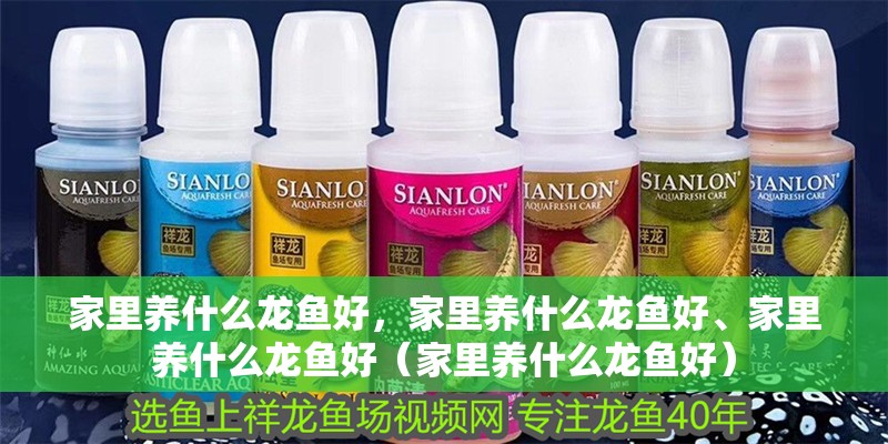 家里養什么龍魚好，家里養什么龍魚好、家里養什么龍魚好（家里養什么龍魚好）
