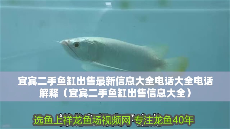 宜賓二手魚缸出售最新信息大全電話大全電話解釋（宜賓二手魚缸出售信息大全）