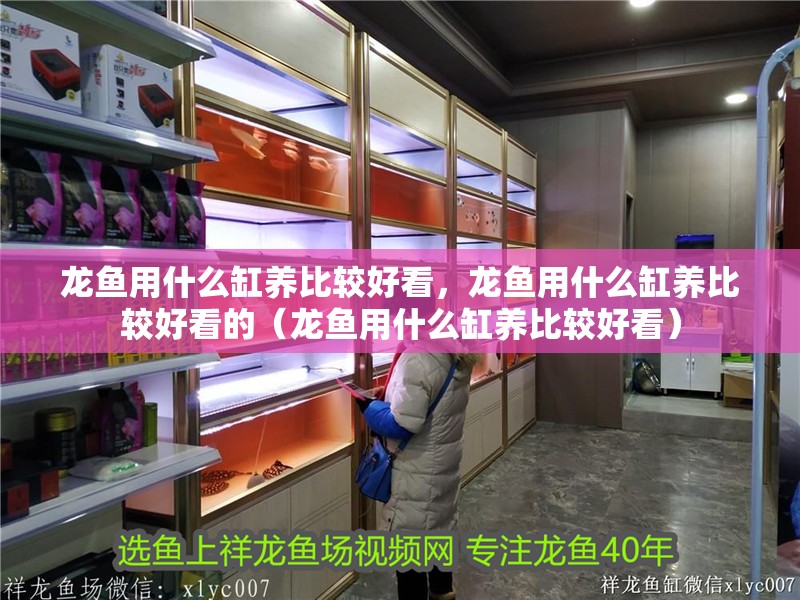 龍魚(yú)用什么缸養(yǎng)比較好看，龍魚(yú)用什么缸養(yǎng)比較好看的（龍魚(yú)用什么缸養(yǎng)比較好看） 龍魚(yú)用什么缸養(yǎng)比較好看，龍魚(yú)用什么缸養(yǎng)比較好看的（龍魚(yú)用什么缸養(yǎng)比較好看） 觀賞魚(yú)百科 第2張