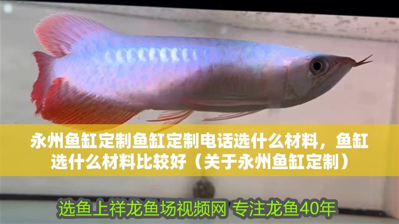 永州魚缸定制魚缸定制電話選什么材料，魚缸選什么材料比較好（關于永州魚缸定制）