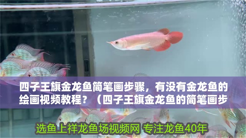 四子王旗金龍魚簡筆畫步驟，有沒有金龍魚的繪畫視頻教程？（四子王旗金龍魚的簡筆畫步驟）