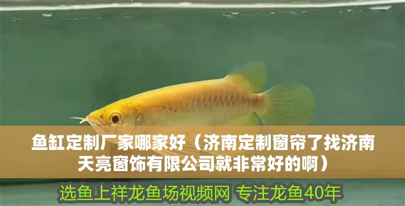 魚缸定制廠家哪家好（濟(jì)南定制窗簾了找濟(jì)南天亮窗飾有限公司就非常好的啊）