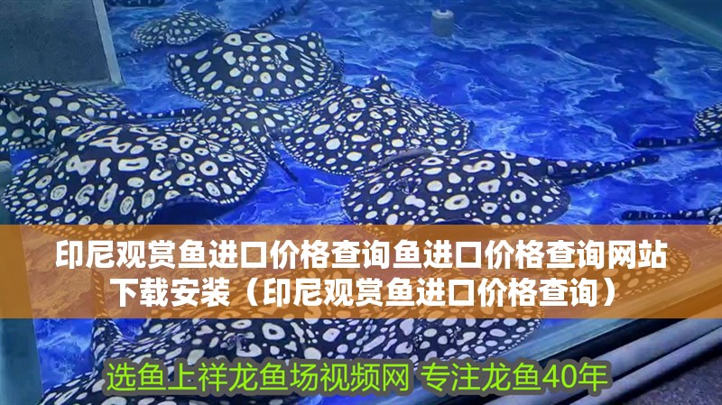 印尼觀賞魚進(jìn)口價(jià)格查詢魚進(jìn)口價(jià)格查詢網(wǎng)站下載安裝（印尼觀賞魚進(jìn)口價(jià)格查詢）