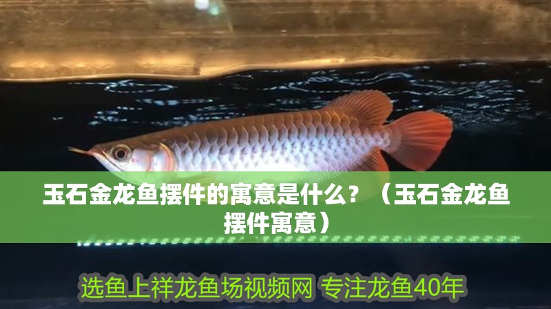 玉石金龍魚擺件的寓意是什么？（玉石金龍魚擺件寓意）
