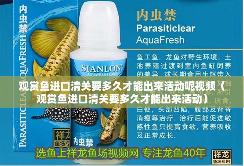 觀賞魚進口清關要多久才能出來活動呢視頻（觀賞魚進口清關要多久才能出來活動）