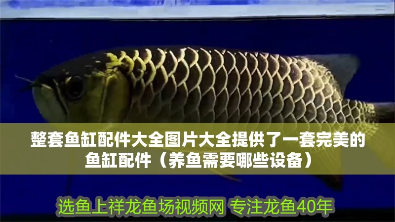 整套魚缸配件大全圖片大全提供了一套完美的魚缸配件（養魚需要哪些設備）