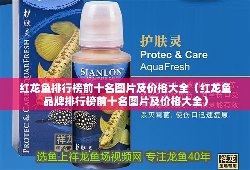 紅龍魚排行榜前十名圖片及價格大全(紅龍魚品牌排行榜前十名圖片及價格大全)
