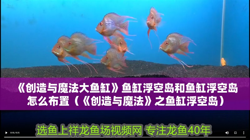 《創造與魔法大魚缸》魚缸浮空島和魚缸浮空島怎么布置（《創造與魔法》之魚缸浮空島）