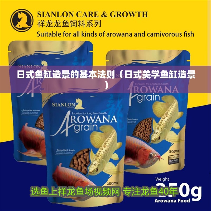 日式魚缸造景的基本法則（日式美學魚缸造景）