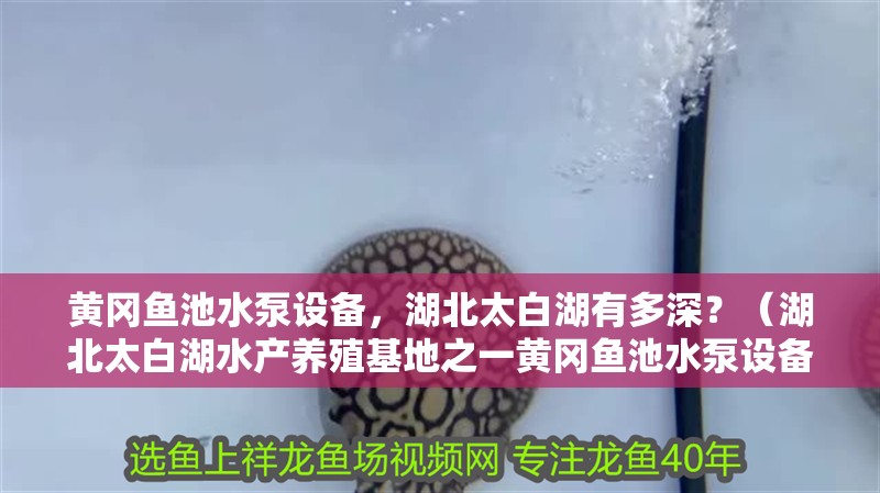 黃岡魚池水泵設(shè)備，<strong><mark>湖北</mark></strong>太白湖有多深？（<strong><mark>湖北</mark></strong>太白湖水產(chǎn)養(yǎng)殖基地之一黃岡魚池水泵設(shè)備對(duì)魚有好處嗎）