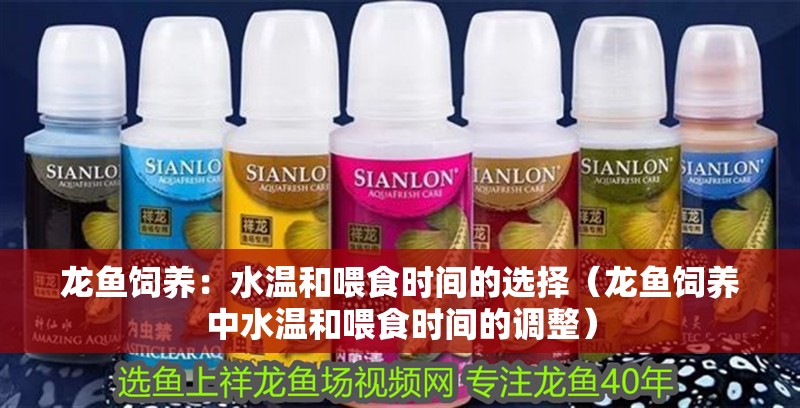 龍魚飼養：水溫和喂食時間的選擇（龍魚飼養中水溫和喂食時間的調整） 龍魚飼養：水溫和喂食時間的選擇（龍魚飼養中水溫和喂食時間的調整） 觀賞魚百科 第2張