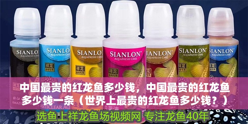 中國最貴的紅龍魚多少錢，中國最貴的紅龍魚多少錢一條（世界上最貴的紅龍魚多少錢？）