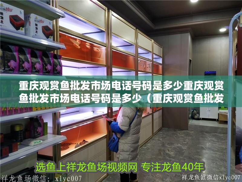 重慶觀賞魚批發市場電話號碼是多少重慶觀賞魚批發市場電話號碼是多少（重慶觀賞魚批發市場）