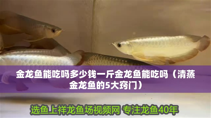 金龍魚能吃嗎多少錢一斤金龍魚能吃嗎（清蒸金龍魚的5大竅門）
