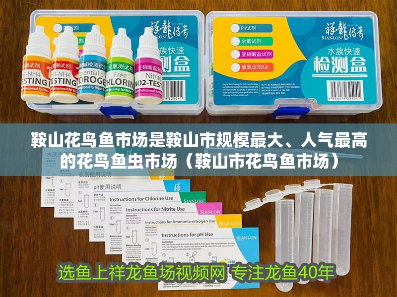 鞍山花鳥魚市場是鞍山市規模最大、人氣最高的花鳥魚蟲市場（鞍山市花鳥魚市場）
