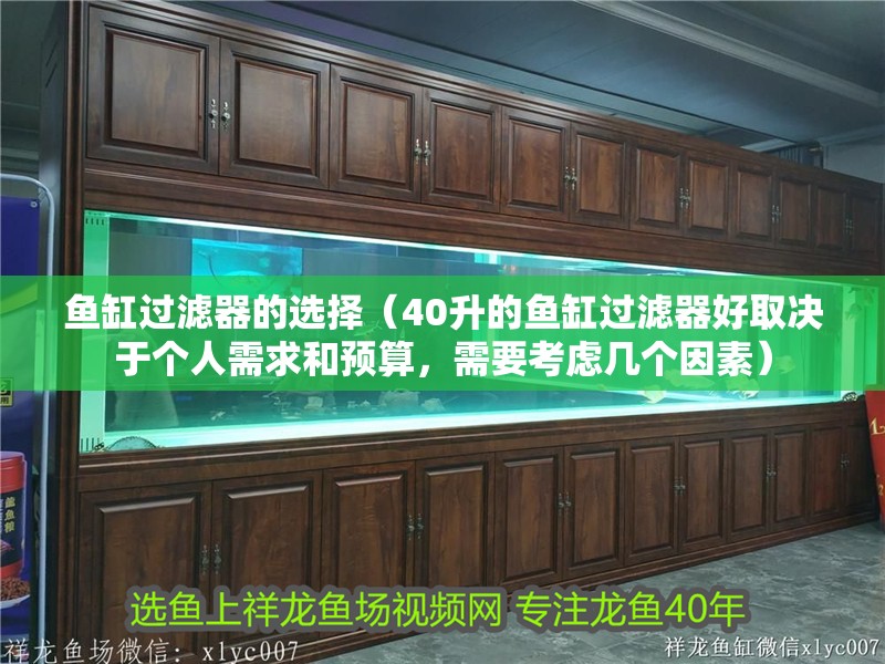 魚缸過(guò)濾器的選擇（40升的魚缸過(guò)濾器好取決于個(gè)人需求和預(yù)算，需要考慮幾個(gè)因素）