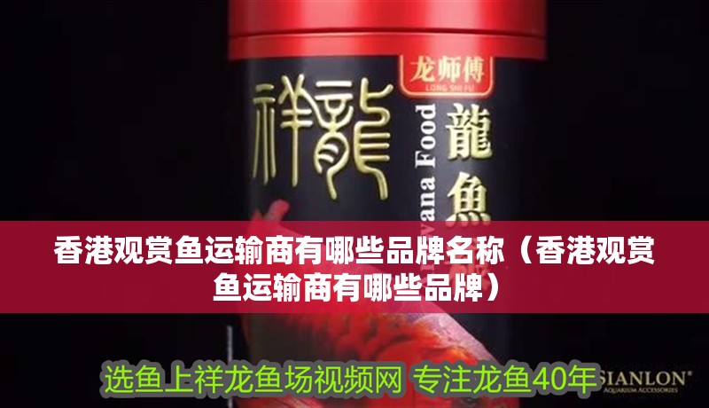 <strong><mark>香港</mark></strong>觀賞魚運輸商有哪些品牌名稱（<strong><mark>香港</mark></strong>觀賞魚運輸商有哪些品牌）