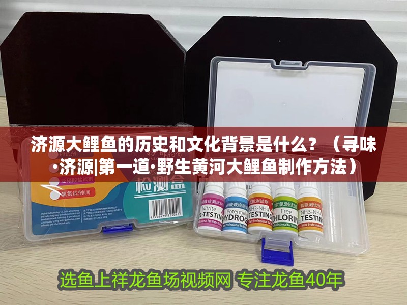 濟源大鯉魚的歷史和文化背景是什么？（尋味·濟源|第一道·野生黃河大鯉魚制作方法）