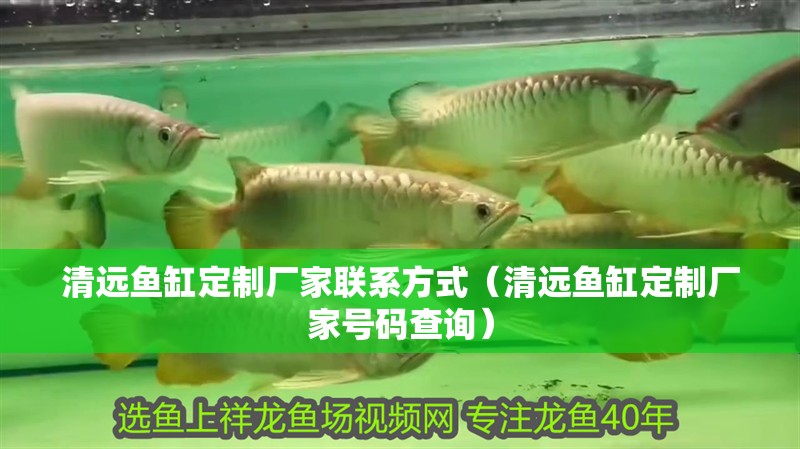清遠魚缸定制廠家聯(lián)系方式（清遠魚缸定制廠家號碼查詢）