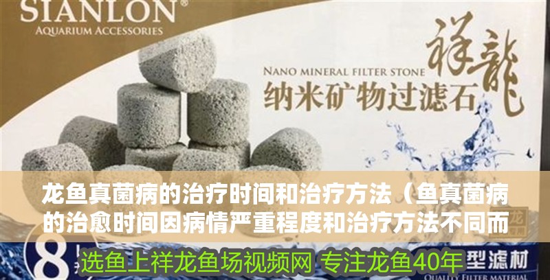 龍魚(yú)真菌病的治療時(shí)間和治療方法（魚(yú)真菌病的治愈時(shí)間因病情嚴(yán)重程度和治療方法不同而異）