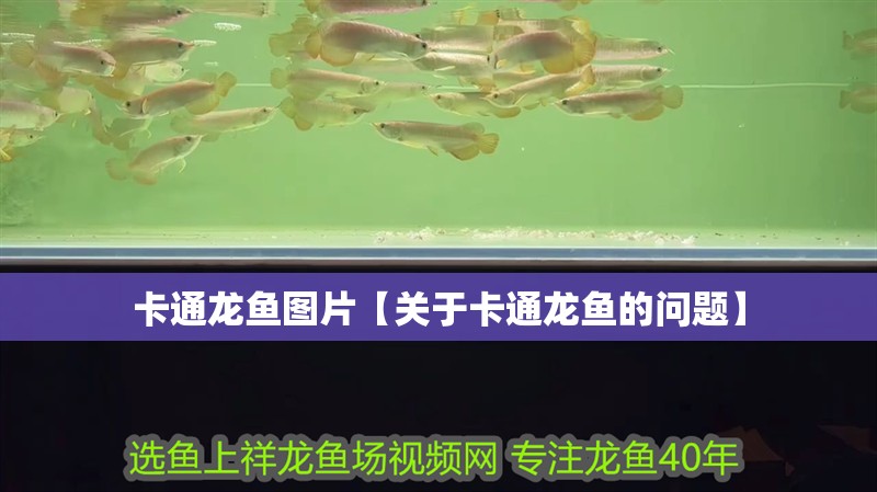 卡通龍魚圖片【關(guān)于卡通龍魚的問題】