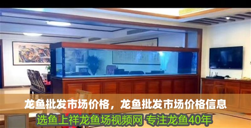 龍魚批發(fā)市場(chǎng)價(jià)格，龍魚批發(fā)市場(chǎng)價(jià)格信息