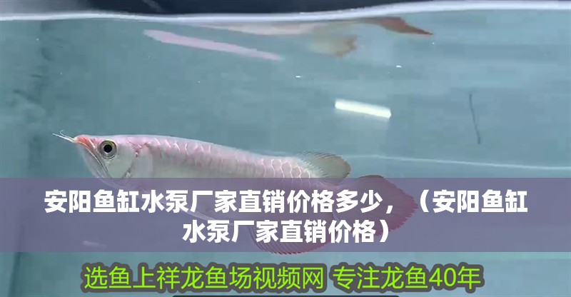 安陽魚缸水泵廠家直銷價格多少，（安陽魚缸水泵廠家直銷價格）