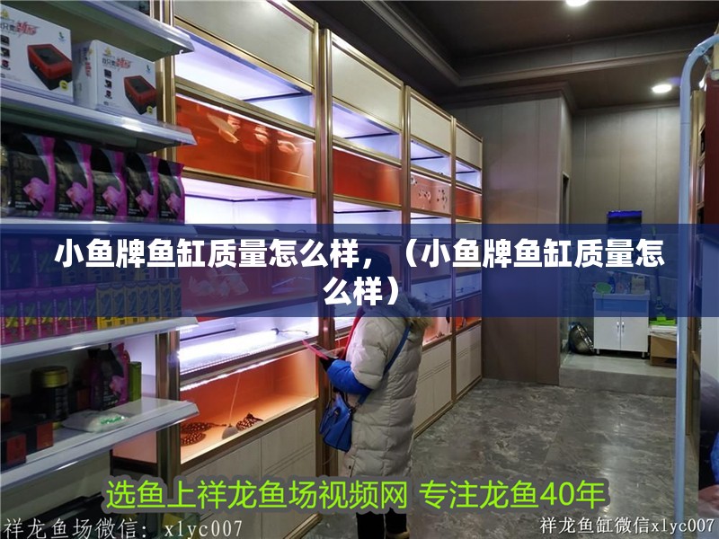小魚牌魚缸質量怎么樣，（小魚牌魚缸質量怎么樣）