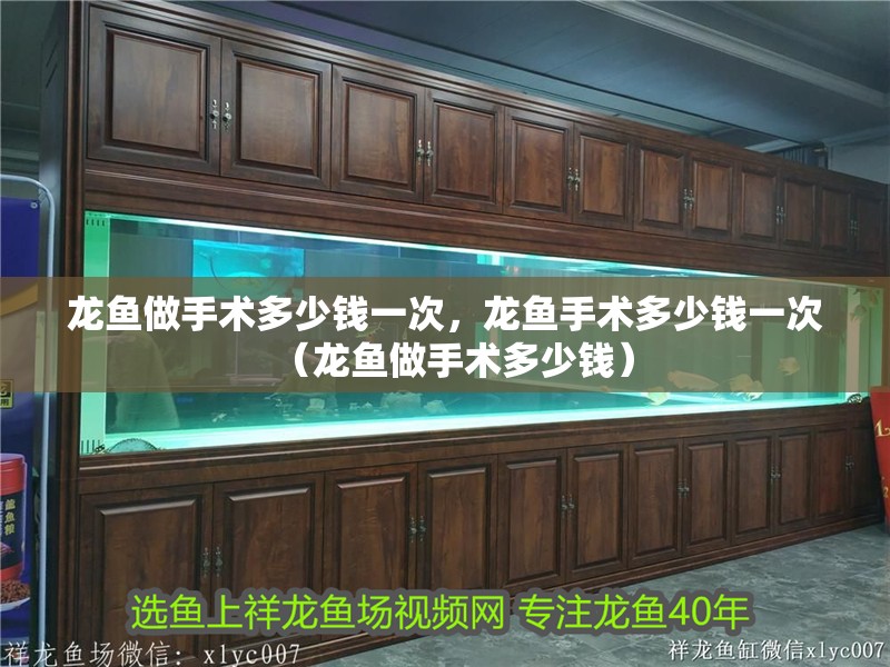 龍魚做手術(shù)多少錢一次，龍魚手術(shù)多少錢一次（龍魚做手術(shù)多少錢）