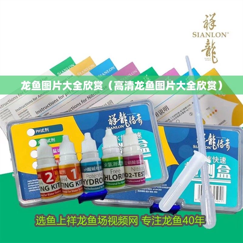 龍魚圖片大全欣賞（高清龍魚圖片大全欣賞）