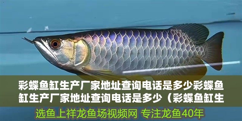 彩蝶魚缸生產廠家地址查詢電話是多少彩蝶魚缸生產廠家地址查詢電話是多少（彩蝶魚缸生產廠家地址查詢電話）