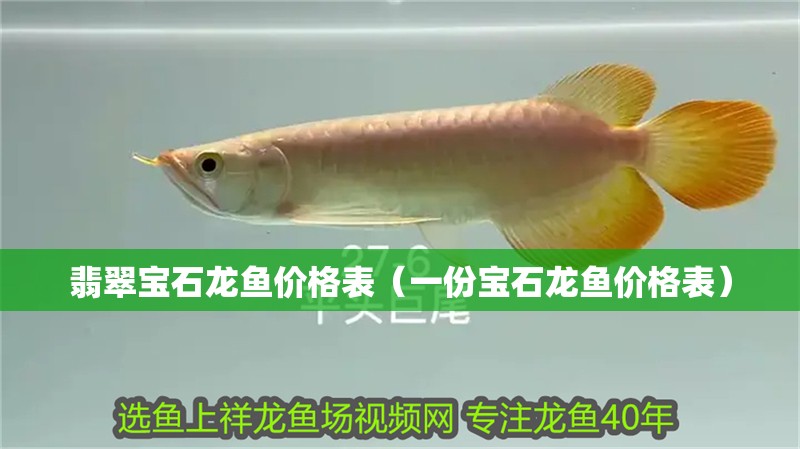 翡翠寶石龍魚價格表（一份寶石龍魚價格表）