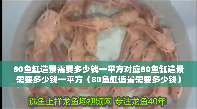 80魚缸造景需要多少錢一平方對應80魚缸造景需要多少錢一平方（80魚缸造景需要多少錢）