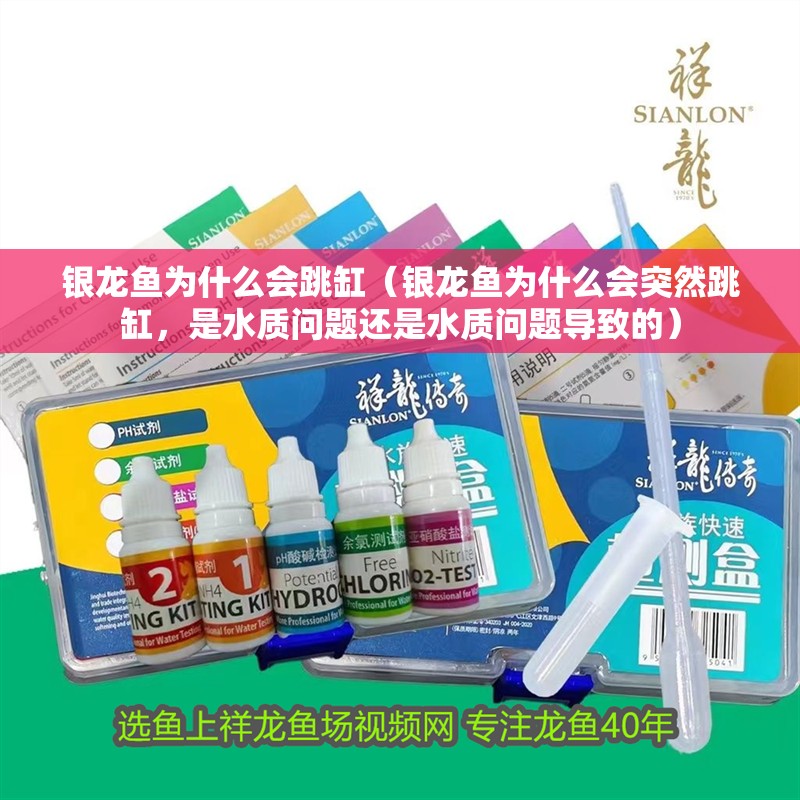 銀龍魚為什么會跳缸（銀龍魚為什么會突然跳缸，是水質問題還是水質問題導致的）