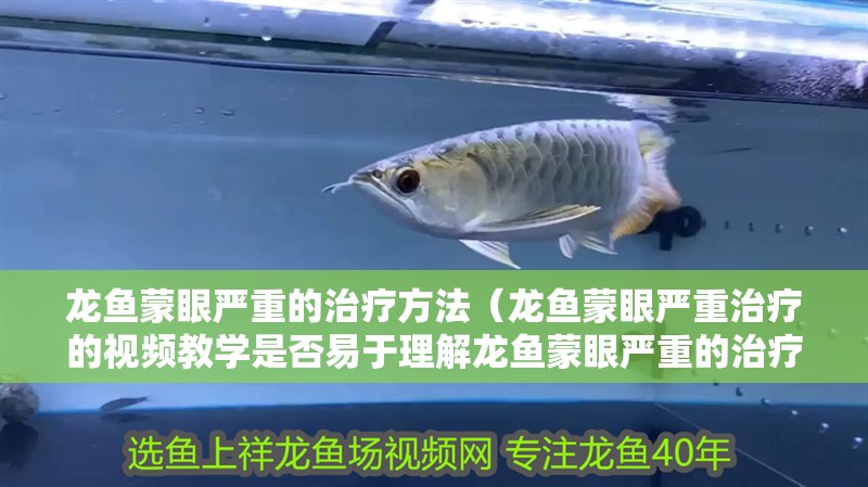 龍魚蒙眼嚴重的治療方法（龍魚蒙眼嚴重治療的視頻教學是否易于理解龍魚蒙眼嚴重的治療方法）
