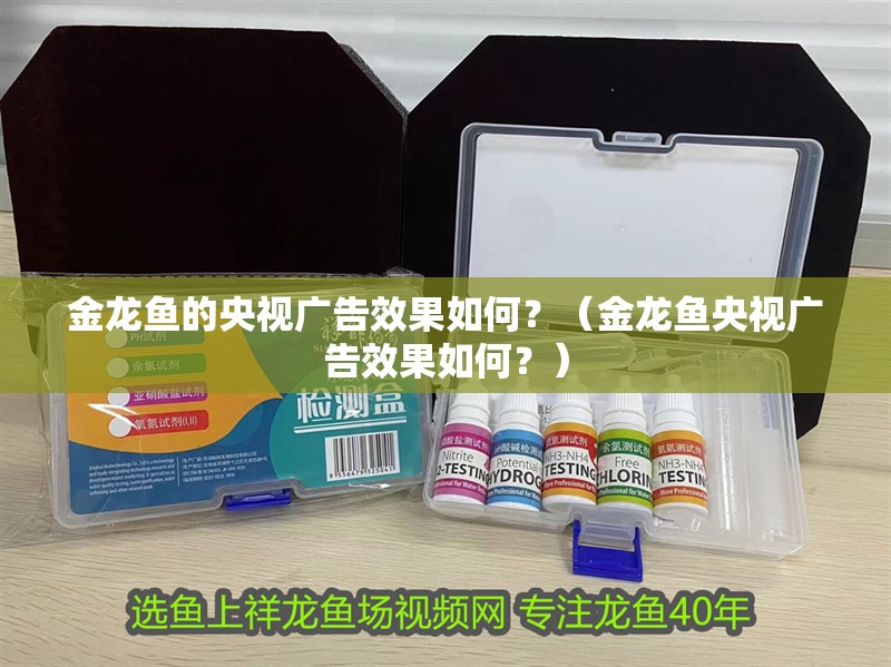 金龍魚的央視廣告效果如何？（金龍魚央視廣告效果如何？）