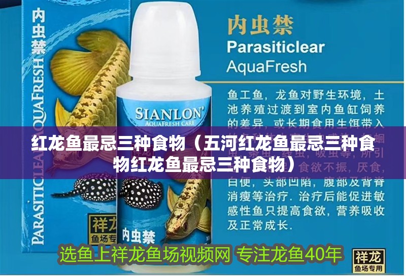 紅龍魚(yú)最忌三種食物（五河紅龍魚(yú)最忌三種食物紅龍魚(yú)最忌三種食物）